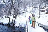 星野リゾートのプレスリリース画像6