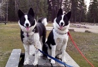 星野リゾートのプレスリリース画像5