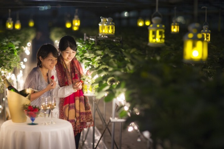 星野リゾートのプレスリリース画像1