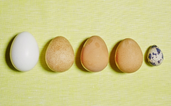 星野リゾートのプレスリリース画像4