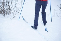 星野リゾートのプレスリリース画像3