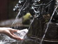 星野リゾートのプレスリリース画像6