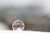 星野リゾートのプレスリリース画像5