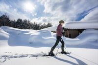 星野リゾートのプレスリリース画像2