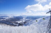 星野リゾートのプレスリリース画像1