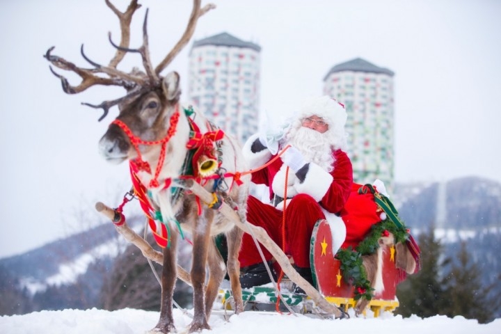 11月28日 12月25日 星野リゾート トマム トナカイに出会える北国のクリスマス 白い森のクリスマス村トマム 星野リゾートのプレスリリース 11月28日 12月25日 星野リゾート トマム トナカイに出会える北国のクリスマス 白い森のクリスマス村トマム 星野リゾートのプレスリリース