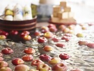 星野リゾートのプレスリリース画像3