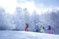 星野リゾートのプレスリリース画像5