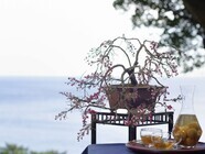 星野リゾートのプレスリリース画像1