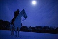 星野リゾートのプレスリリース画像4