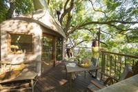 星野リゾートのプレスリリース画像5