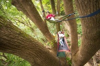 星野リゾートのプレスリリース画像1