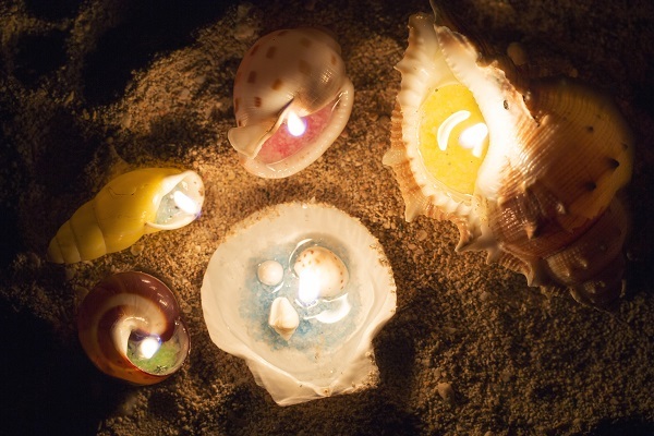 星野リゾートのプレスリリース画像6