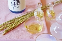 星野リゾートのプレスリリース画像1