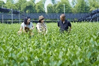 星野リゾートのプレスリリース画像1