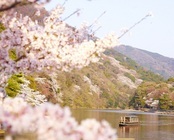 星野リゾートのプレスリリース画像1