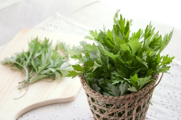 星野リゾートのプレスリリース画像2