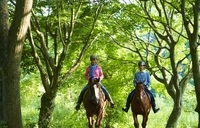 星野リゾートのプレスリリース画像1