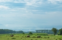 星野リゾートのプレスリリース画像2