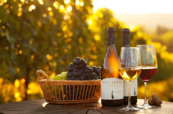 星野リゾートのプレスリリース画像2