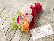 星野リゾートのプレスリリース画像2