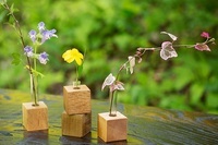 星野リゾートのプレスリリース画像1