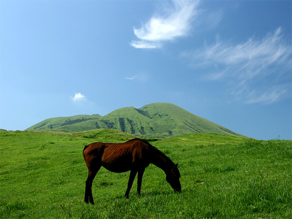 星野リゾートのプレスリリース画像2