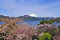 星野リゾートのプレスリリース画像2