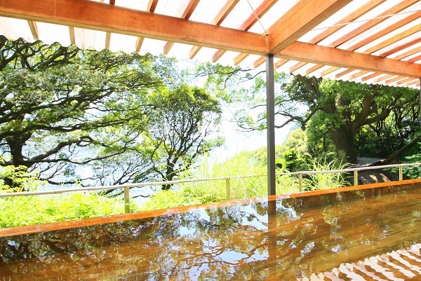 星野リゾートのプレスリリース画像3