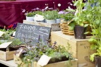 星野リゾートのプレスリリース画像4