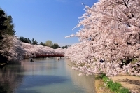 星野リゾートのプレスリリース画像3