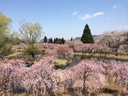 星野リゾートのプレスリリース画像2