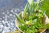 星野リゾートのプレスリリース画像5