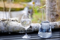 星野リゾートのプレスリリース画像2