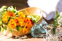 星野リゾートのプレスリリース画像3