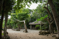 星野リゾートのプレスリリース画像2