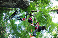 星野リゾートのプレスリリース画像2