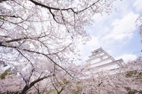 星野リゾートのプレスリリース画像3