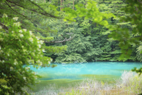 星野リゾートのプレスリリース画像2