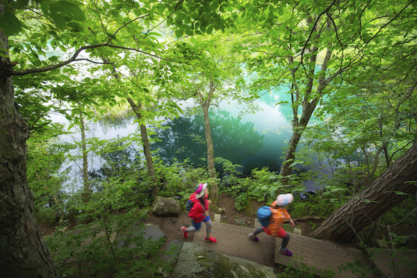 星野リゾートのプレスリリース画像2