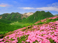 星野リゾートのプレスリリース画像1