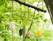 星野リゾートのプレスリリース画像3