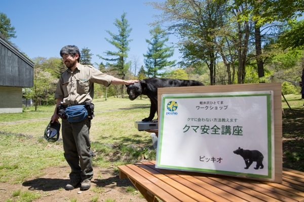 星野リゾートのプレスリリース画像2