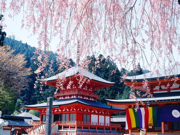 星野リゾートのプレスリリース画像4