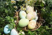 星野リゾートのプレスリリース画像1