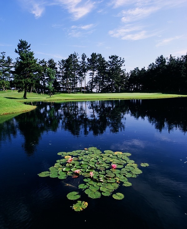 星野リゾートのプレスリリース画像3