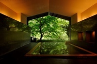 星野リゾートのプレスリリース画像2