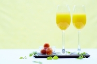 星野リゾートのプレスリリース画像6