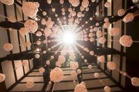 星野リゾートのプレスリリース画像2