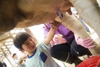 星野リゾートのプレスリリース画像2